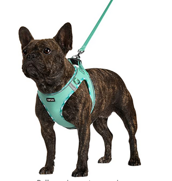 amtor dog harness