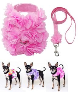 Cute Dog Harnesses