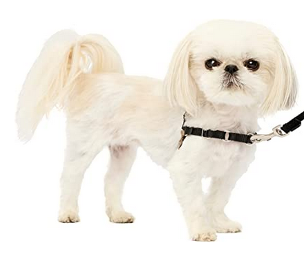 petsafe easy walk dog harnesses