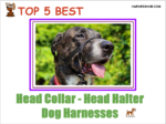 head collar dog harnesses