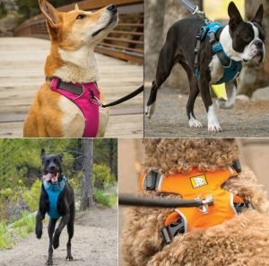 Ruffwear harnesses