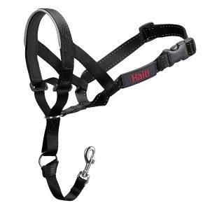 HALTI head collar dog harness