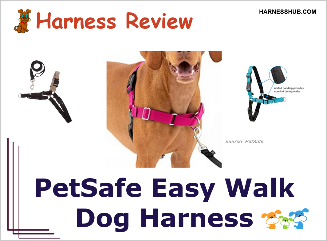 PetSafe Easy Walk Dog Harness Review Harness Hub