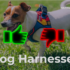 Dog Harnesses Advantages and Disadvantages