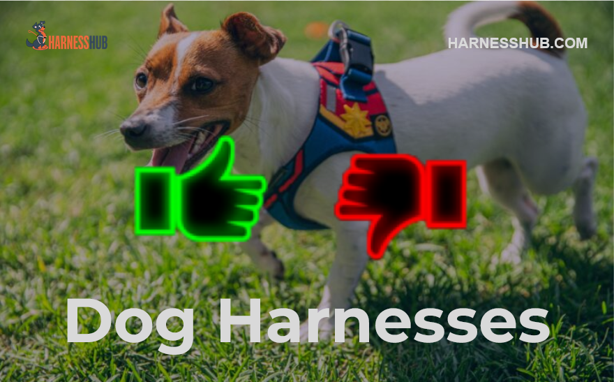 dog harnesses advantages and disadvantages