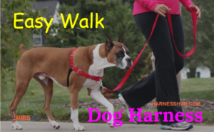 Easy Walk Dog Harness: A Complete Guide